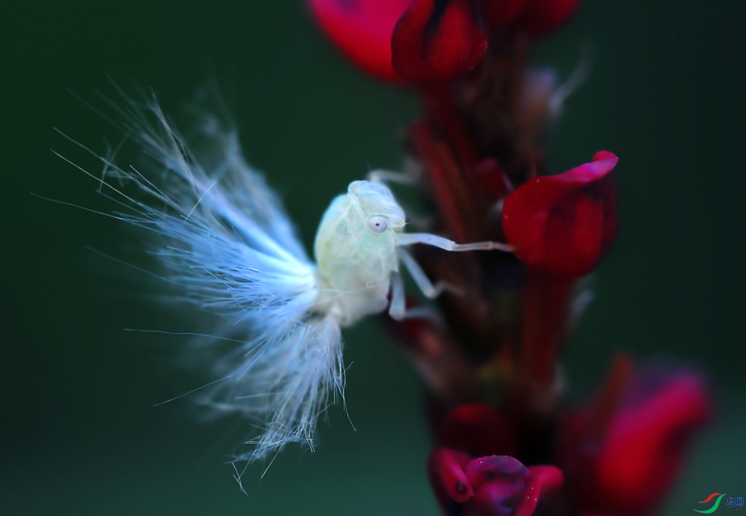 DSC_0153.JPG