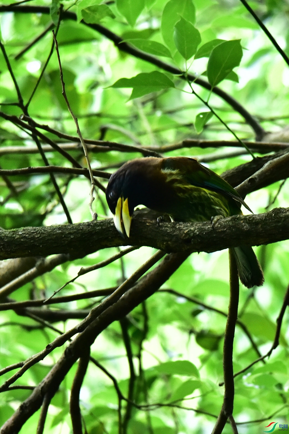 DSC_0789.JPG