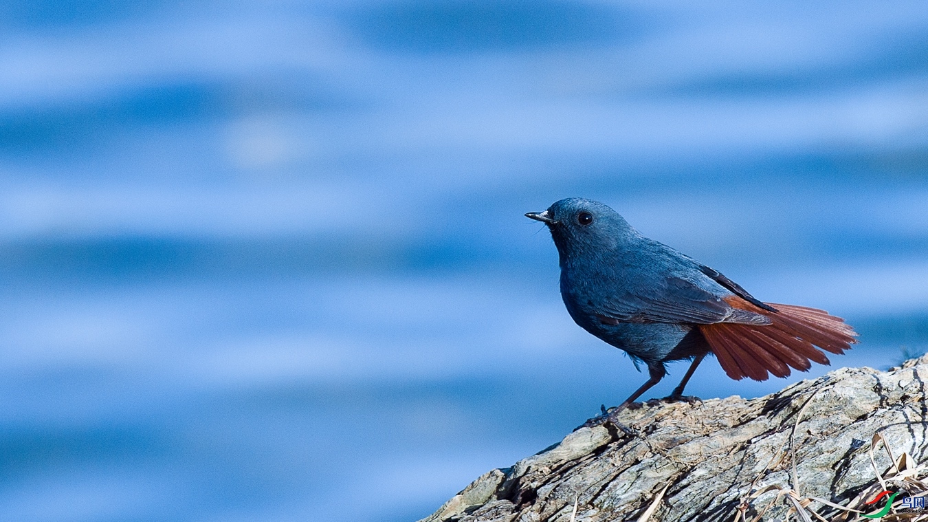 XCG_2906 - ����.jpg