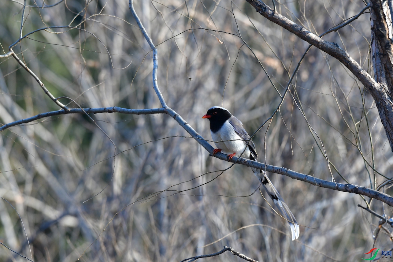 DSC_4920.jpg