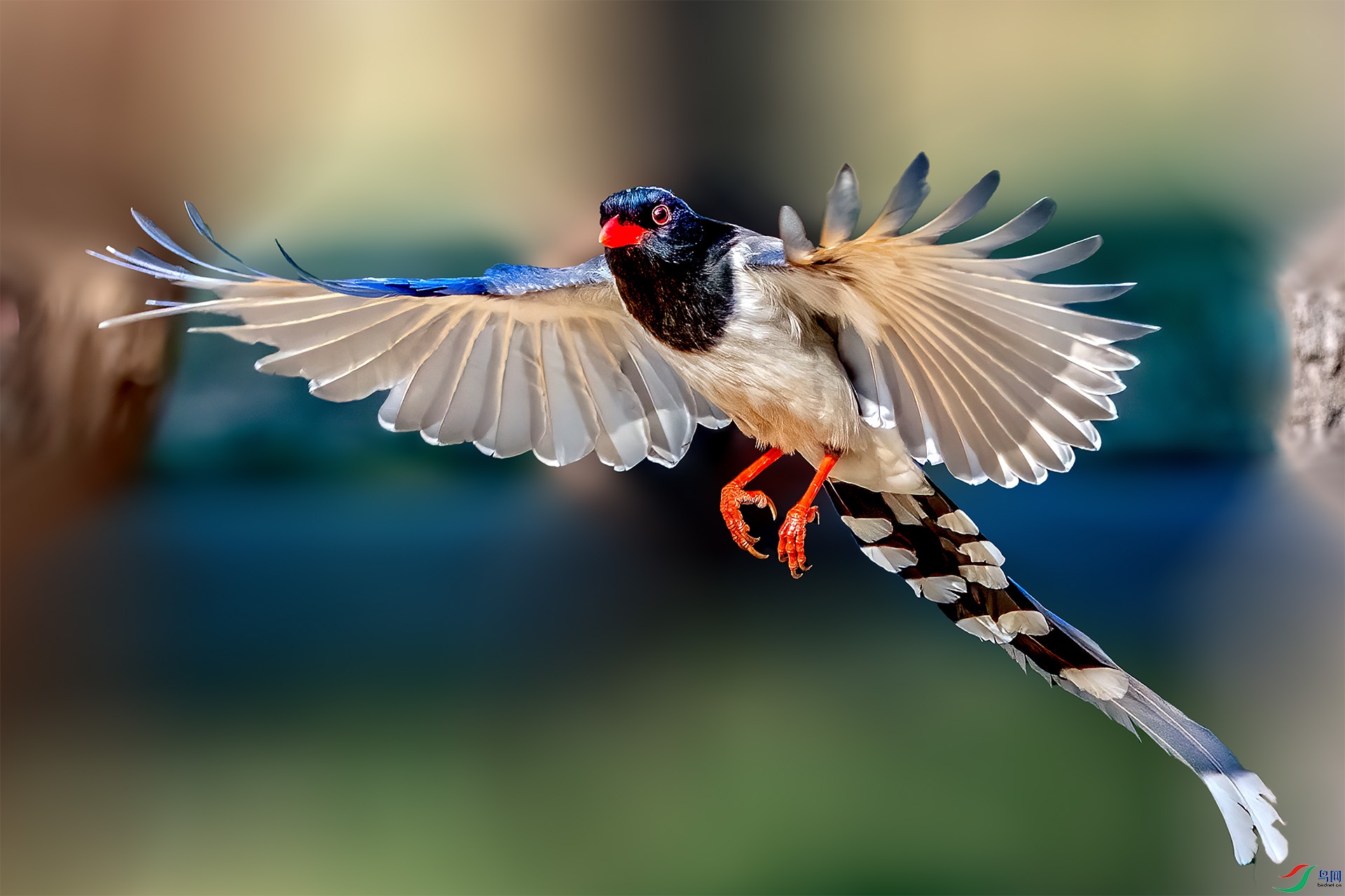_DSC3648-9=.jpg