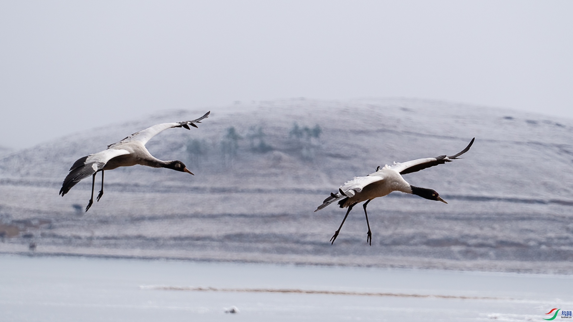 δ����-09018.jpg