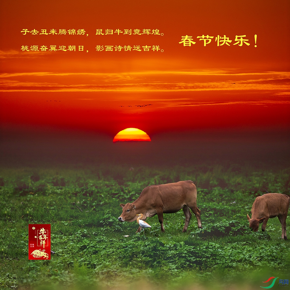 ţ�꼪��ף��ͼ ����.jpg