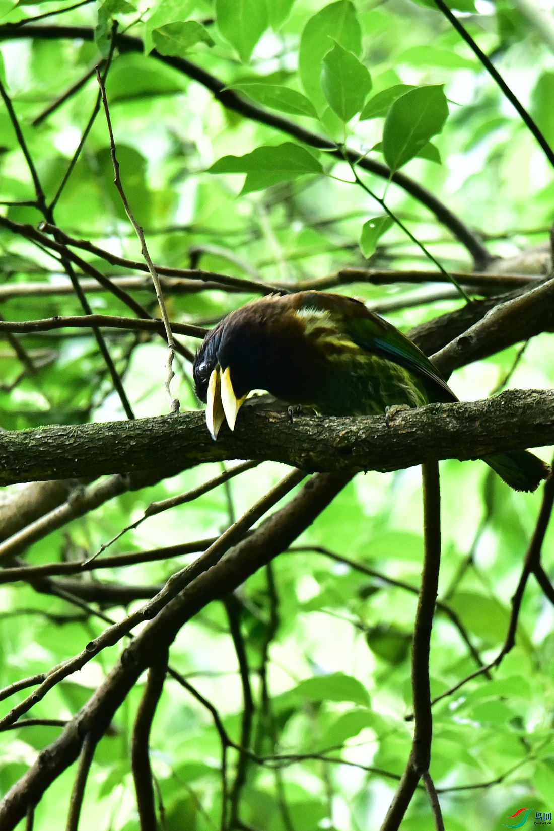 DSC_0793.JPG