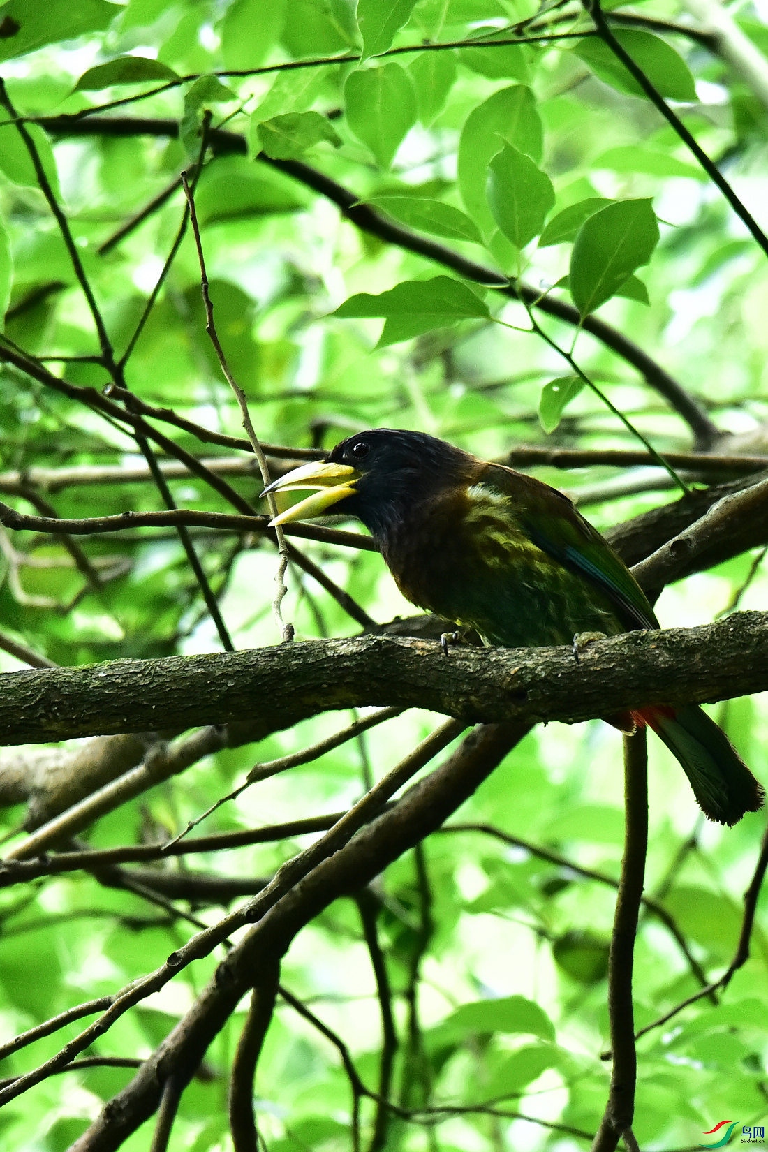 DSC_0794.JPG