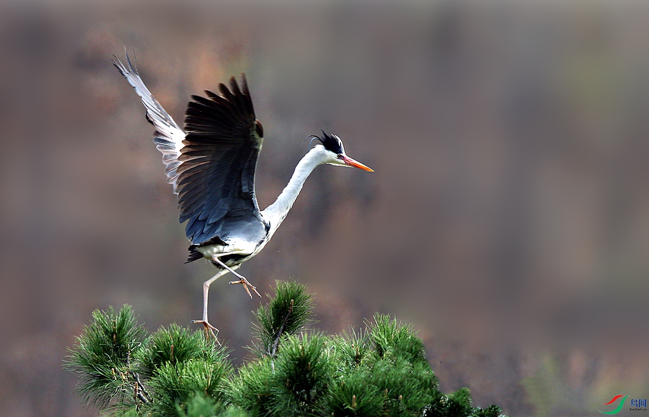 H46R7580_���� (2).jpg