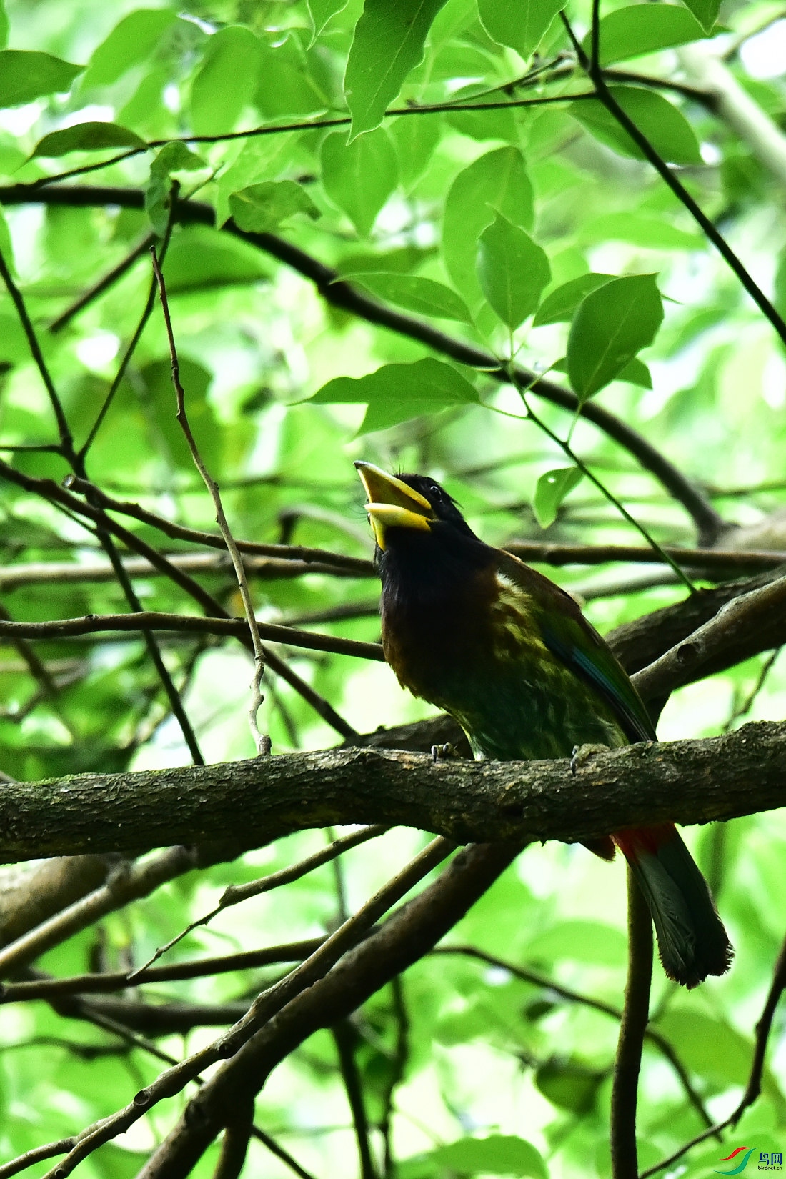 DSC_0796.JPG