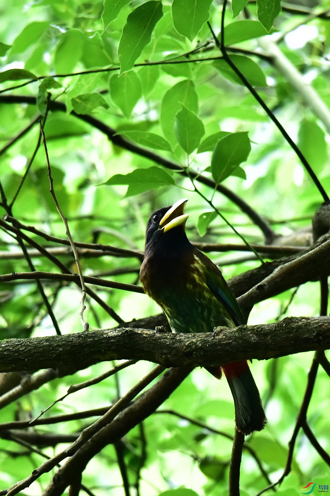 DSC_0797.JPG