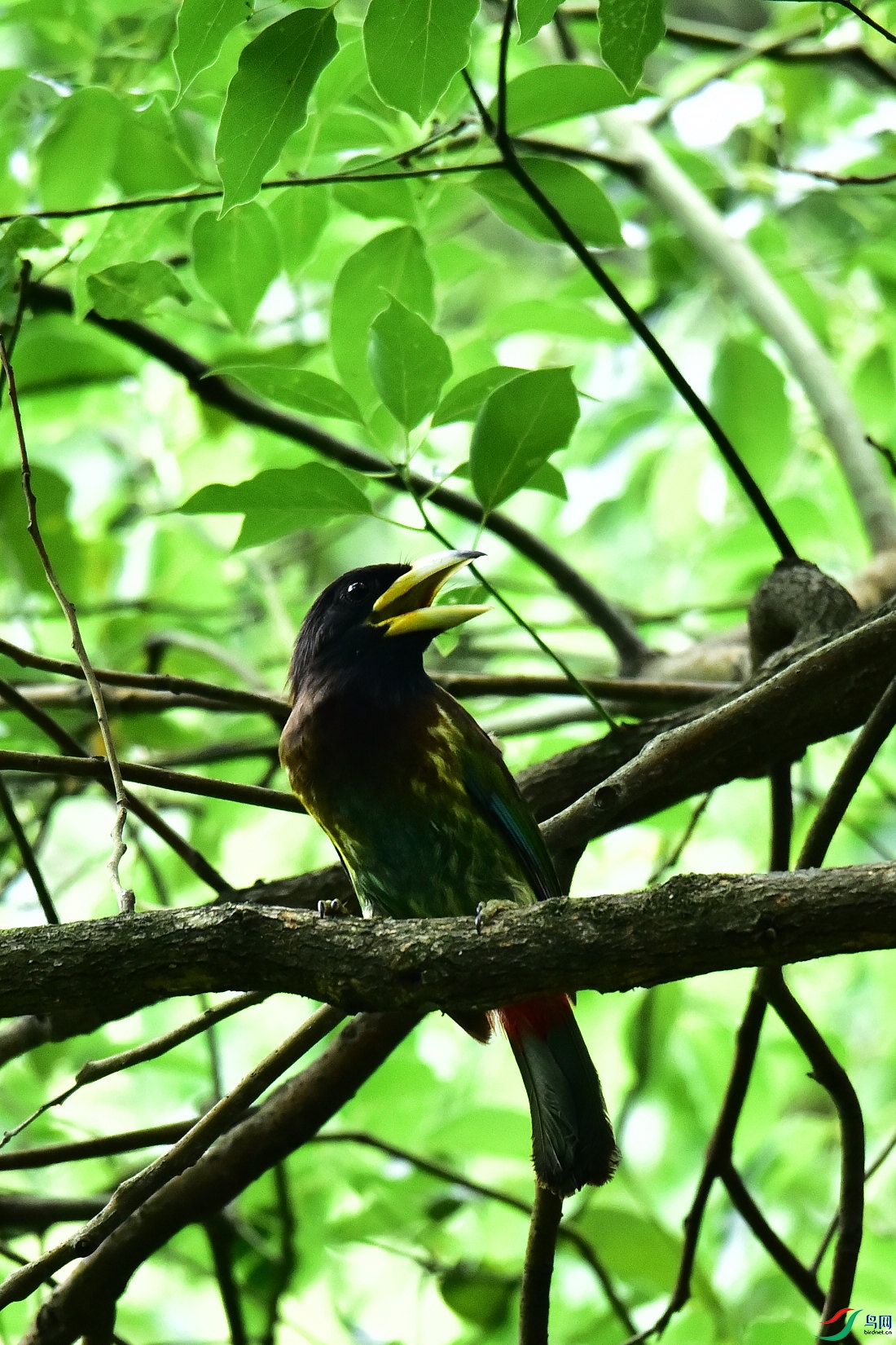 DSC_0798.JPG