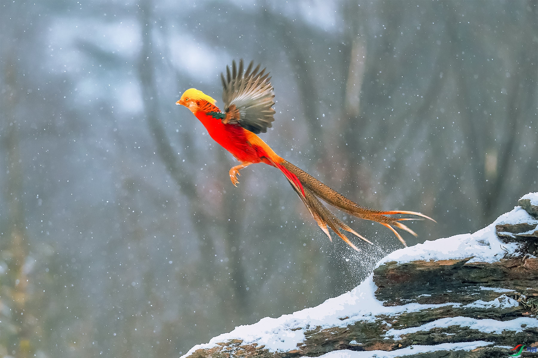 ������Ŀ�ꡪ������֣� (2).jpg