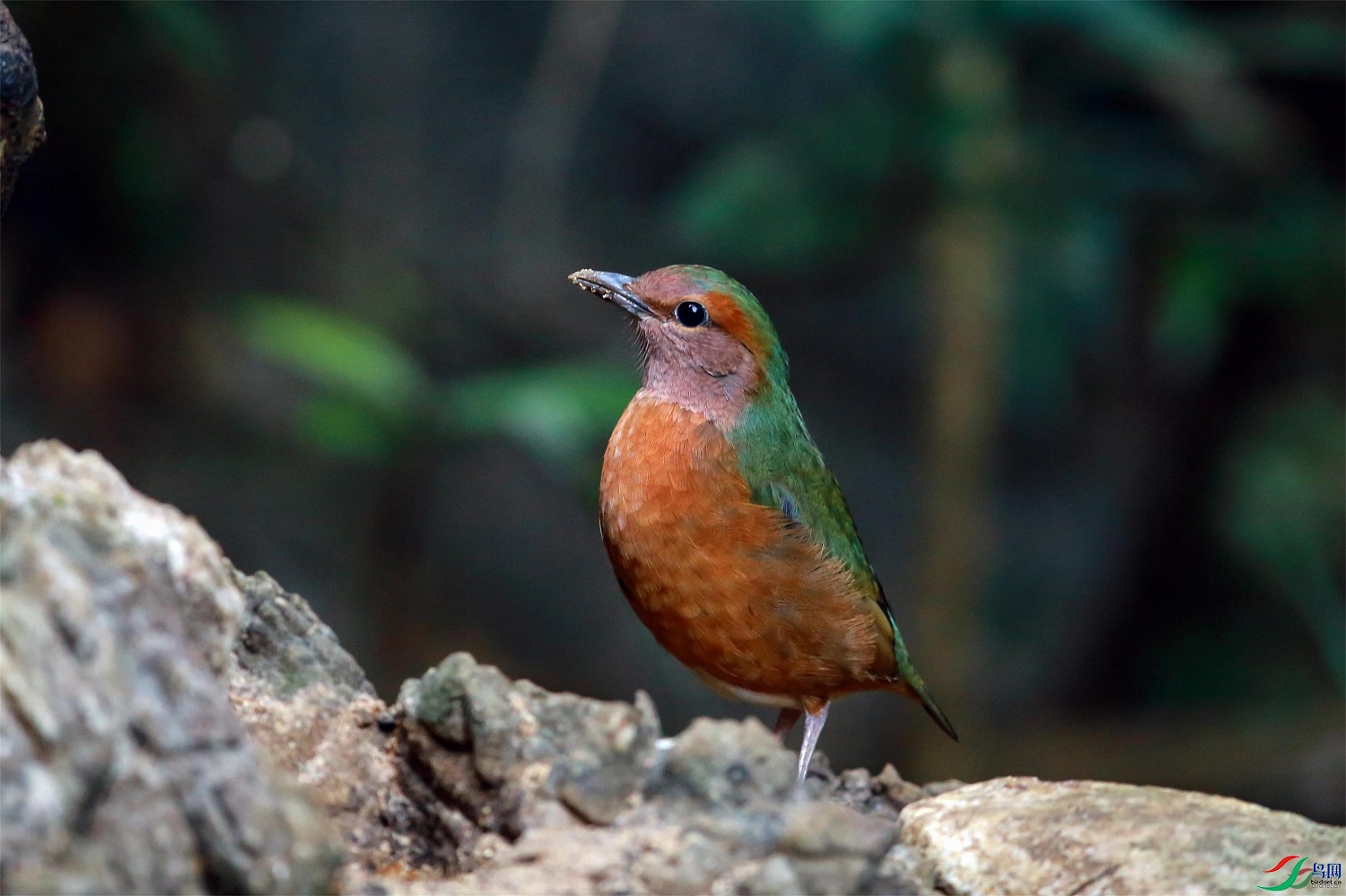 夏雨冬雪 老师拍摄于广西壮族自治区崇左市0.jpg
