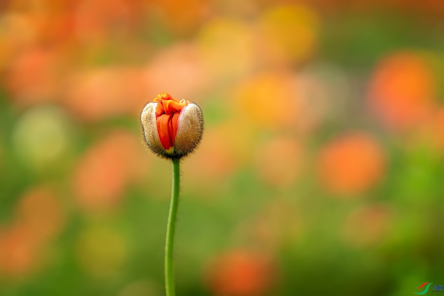 DZ_09711a.jpg