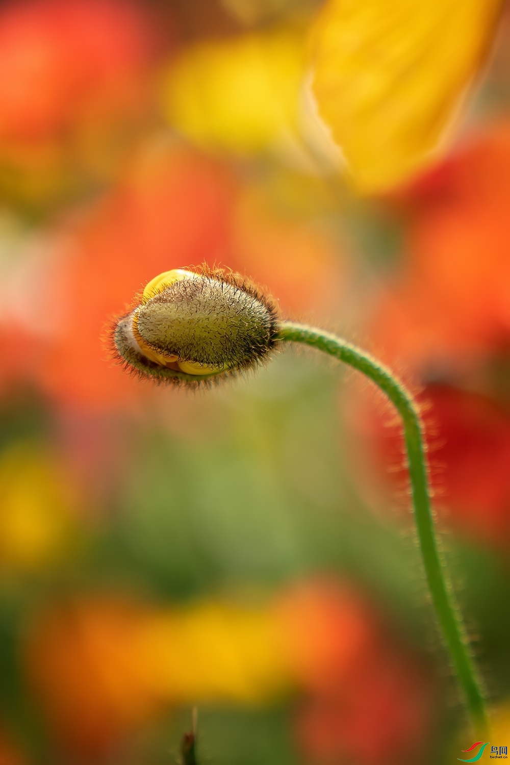 DZ_09701a.jpg
