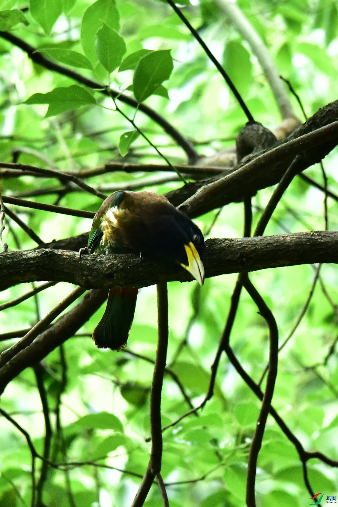 DSC_0799.JPG