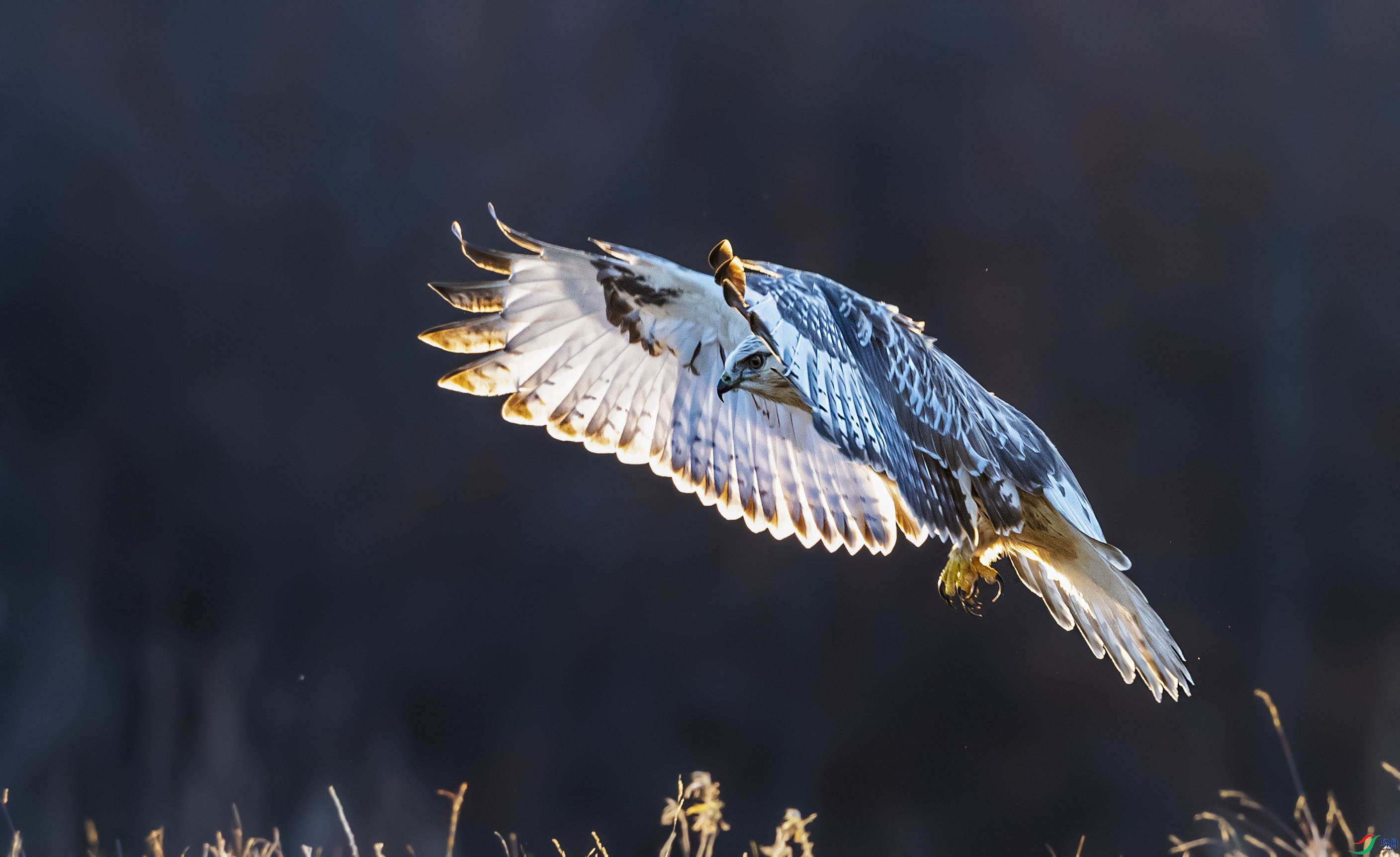 DSC_1549add2.jpg