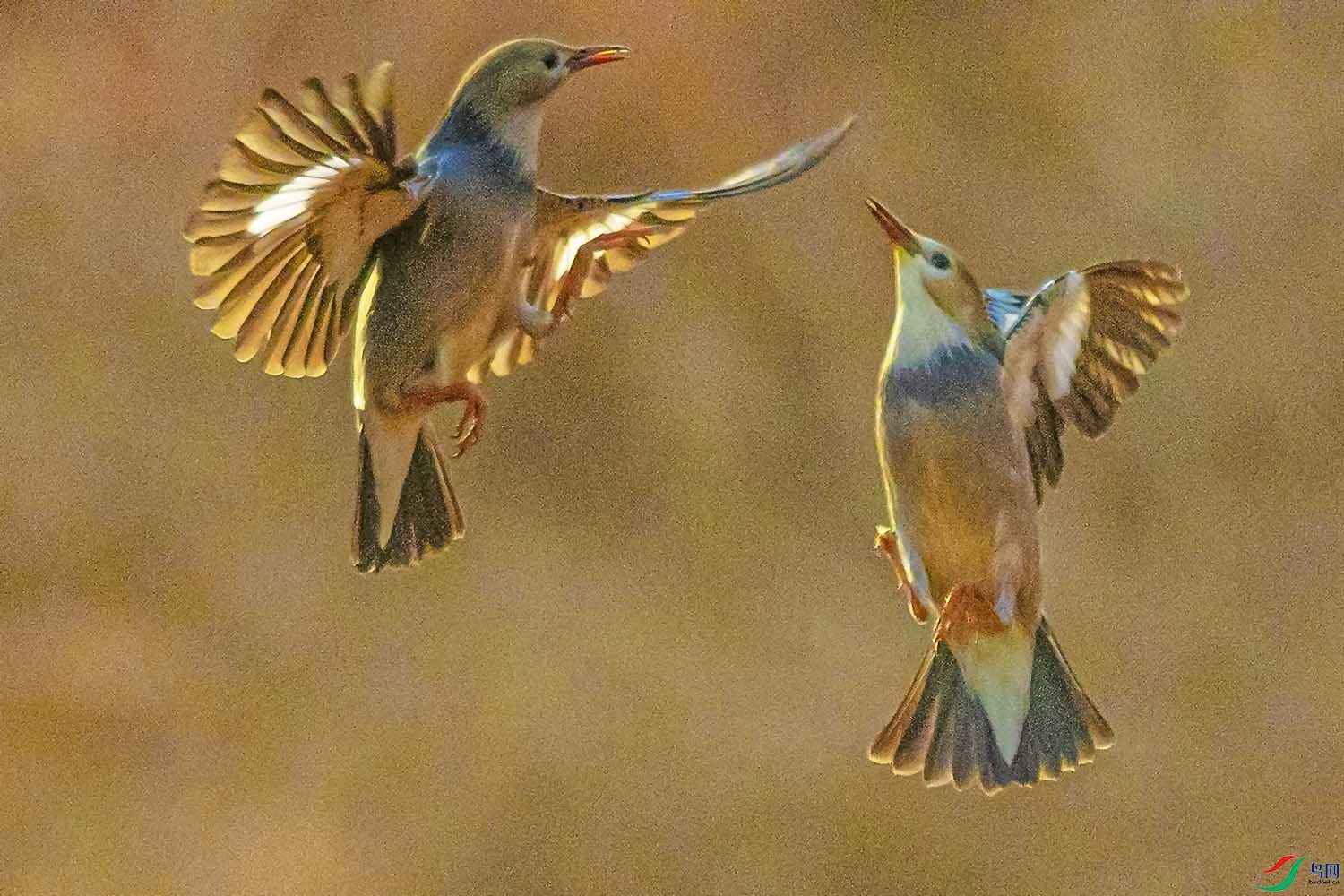 DSC_5769.jpg