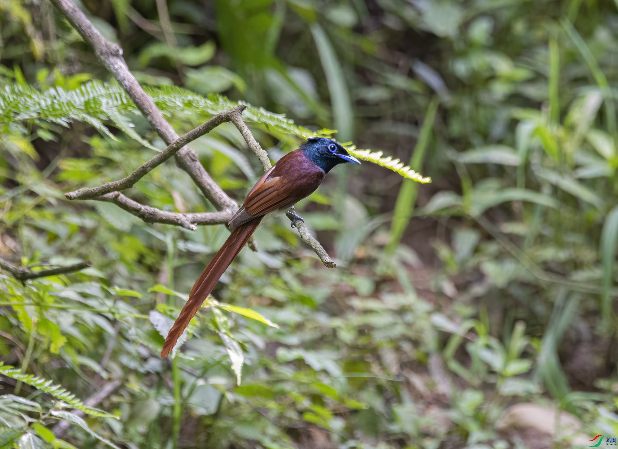 DSC_5907.jpg