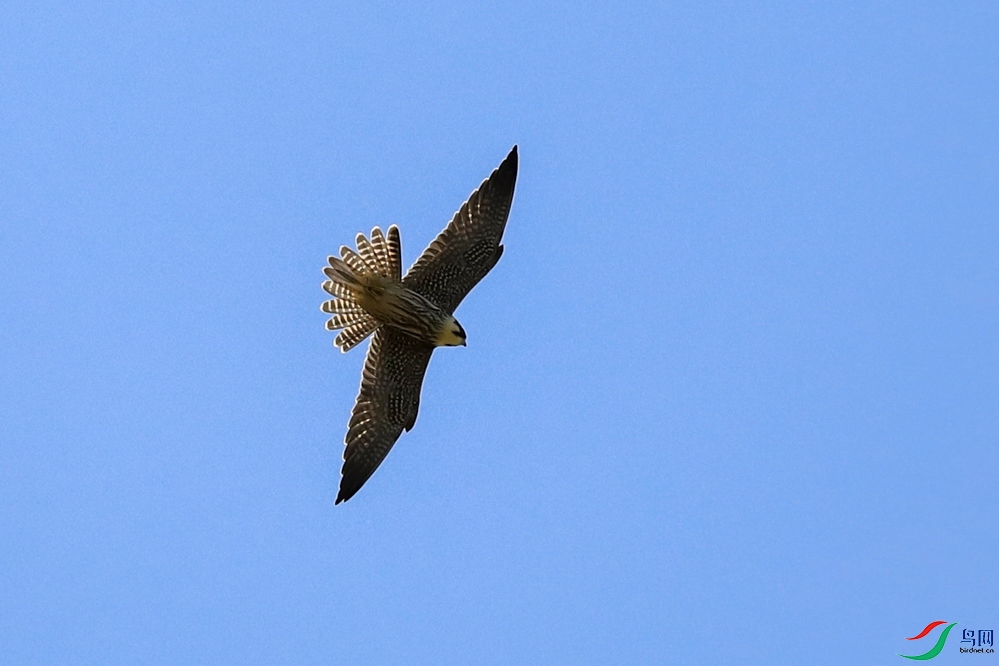 CS0A6604.jpg