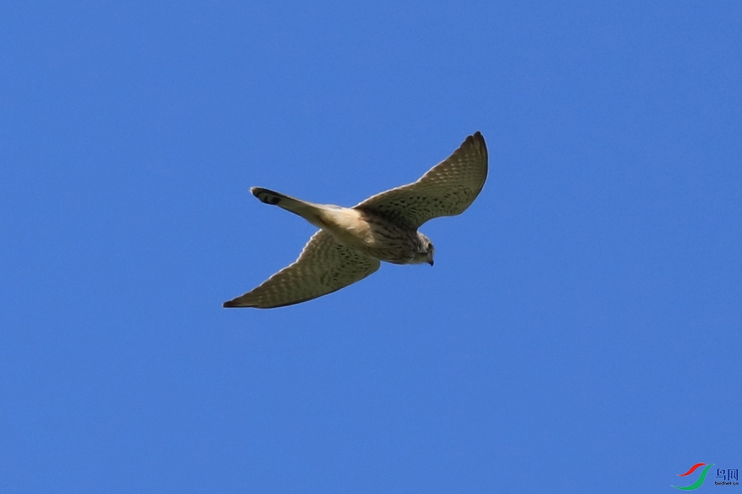 CS0A8823.JPG