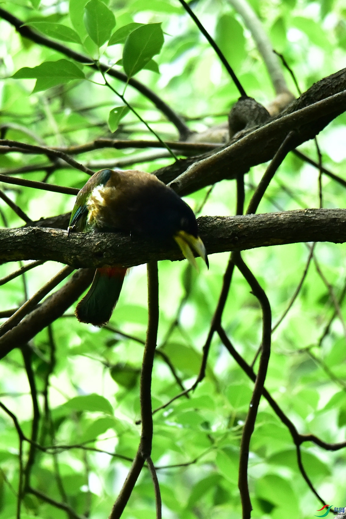 DSC_0801.JPG
