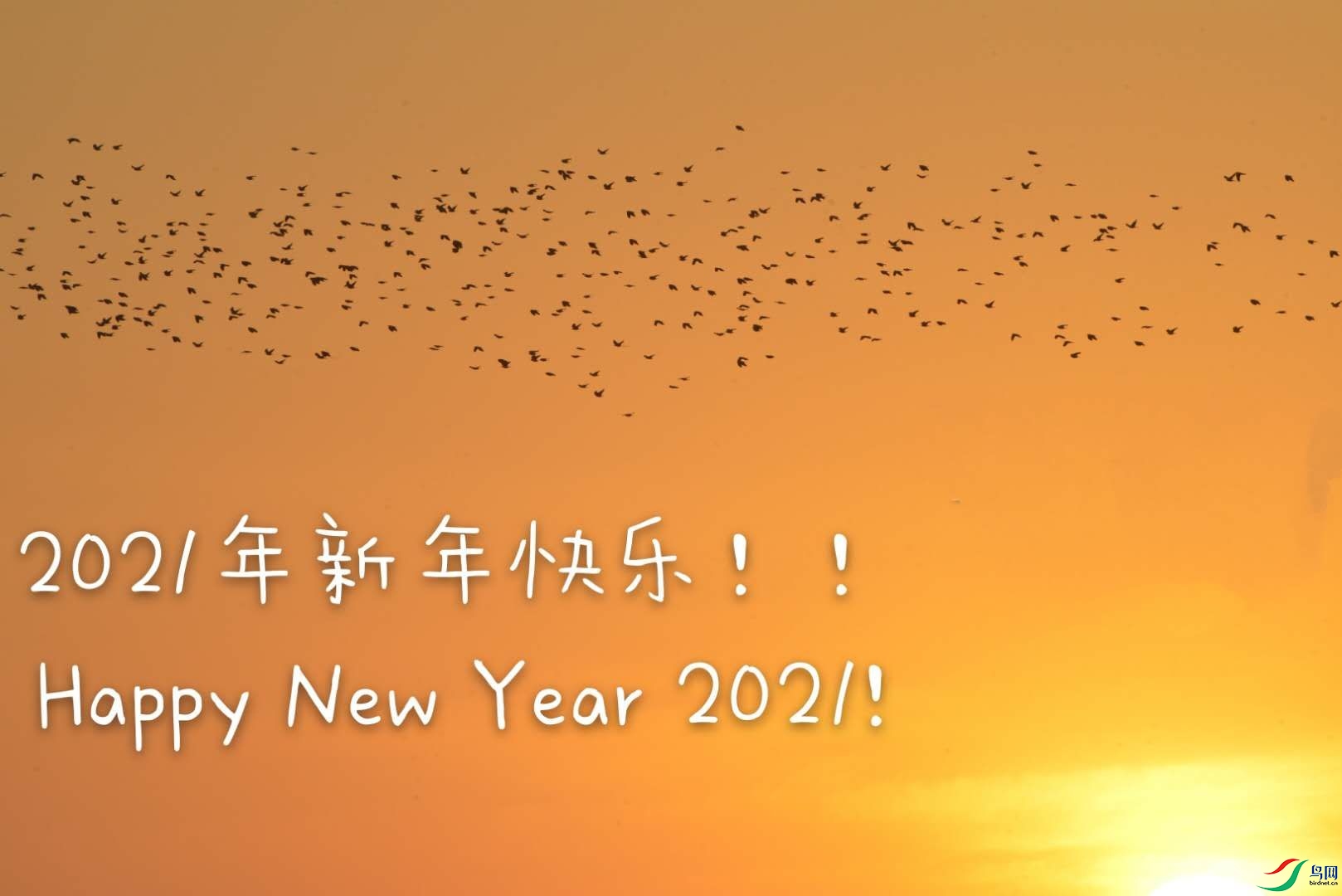 祝愿大家牛年好运