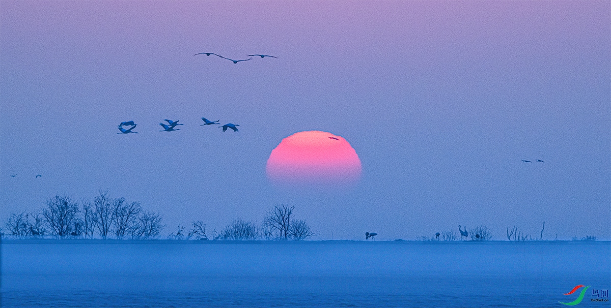 DSC_5012.jpg