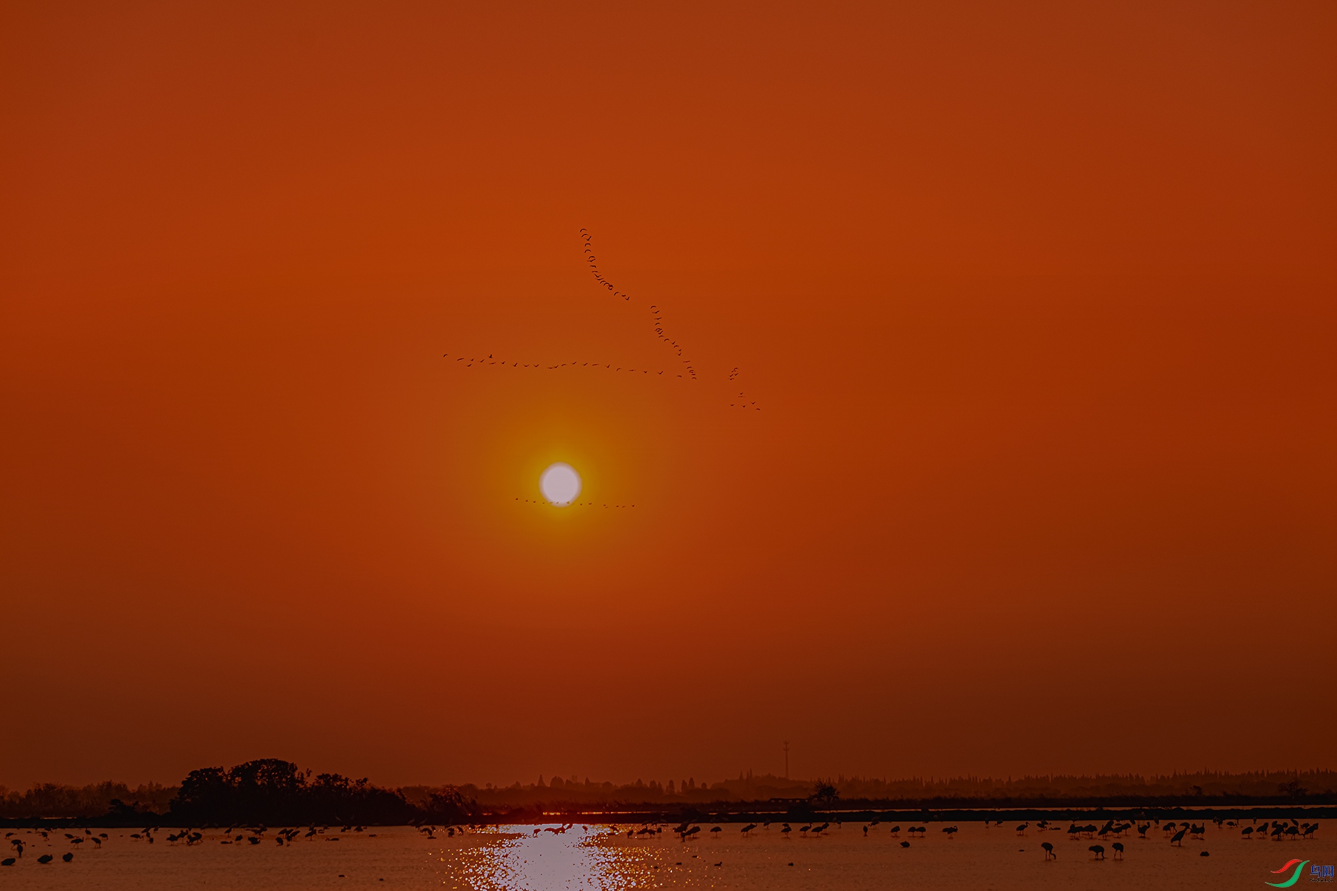 _DSC9925s.jpg