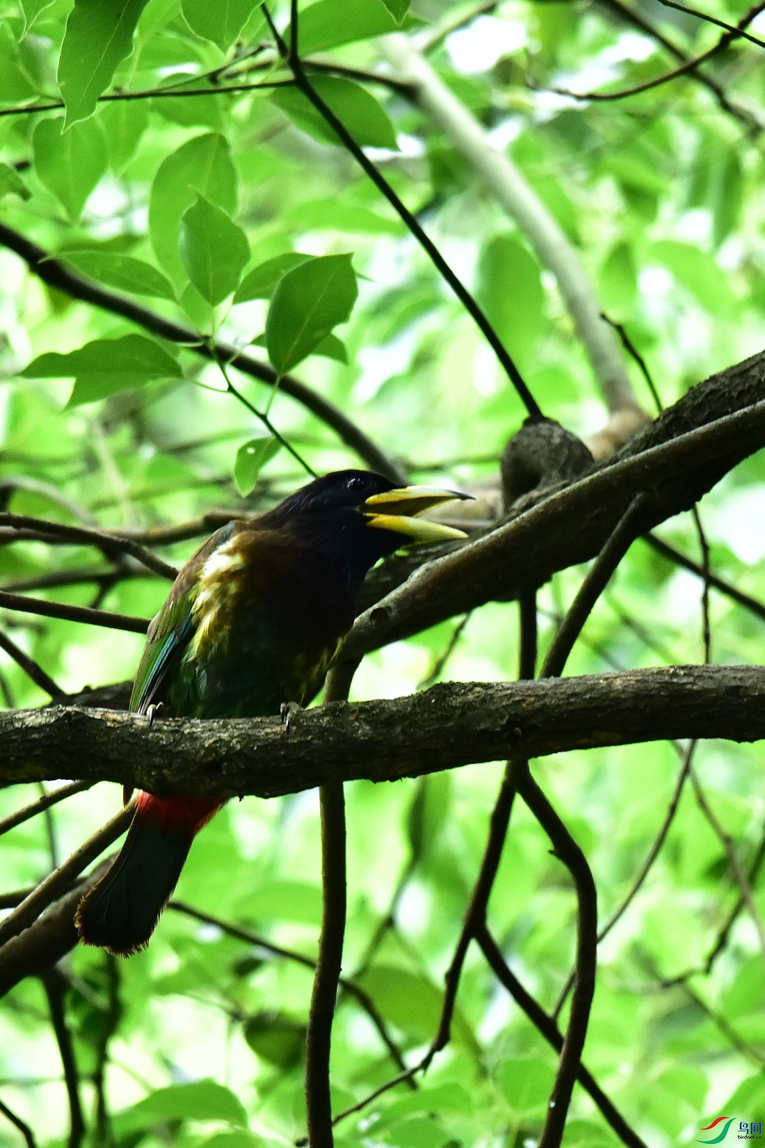 DSC_0803.JPG
