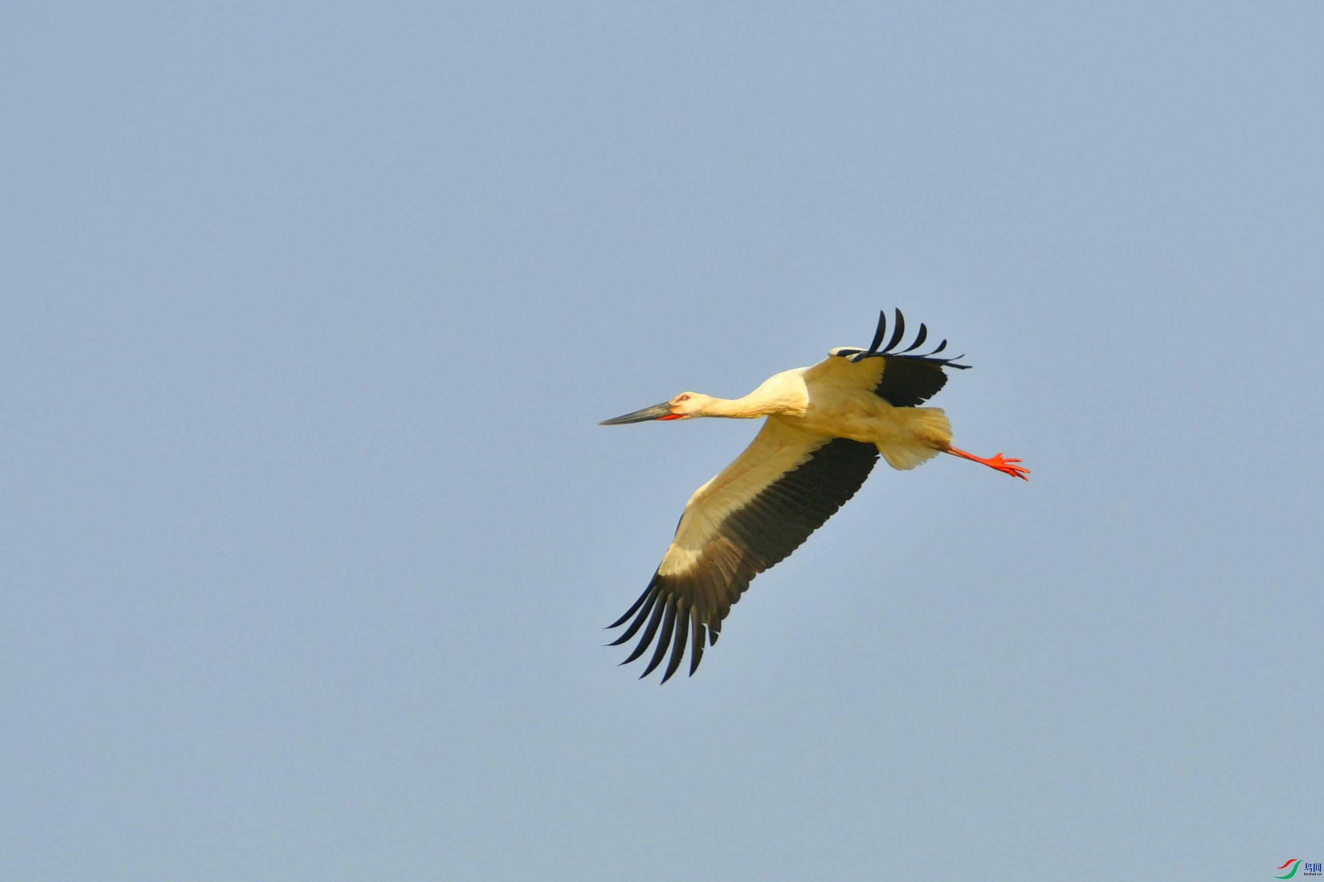 _DSC9635.JPG