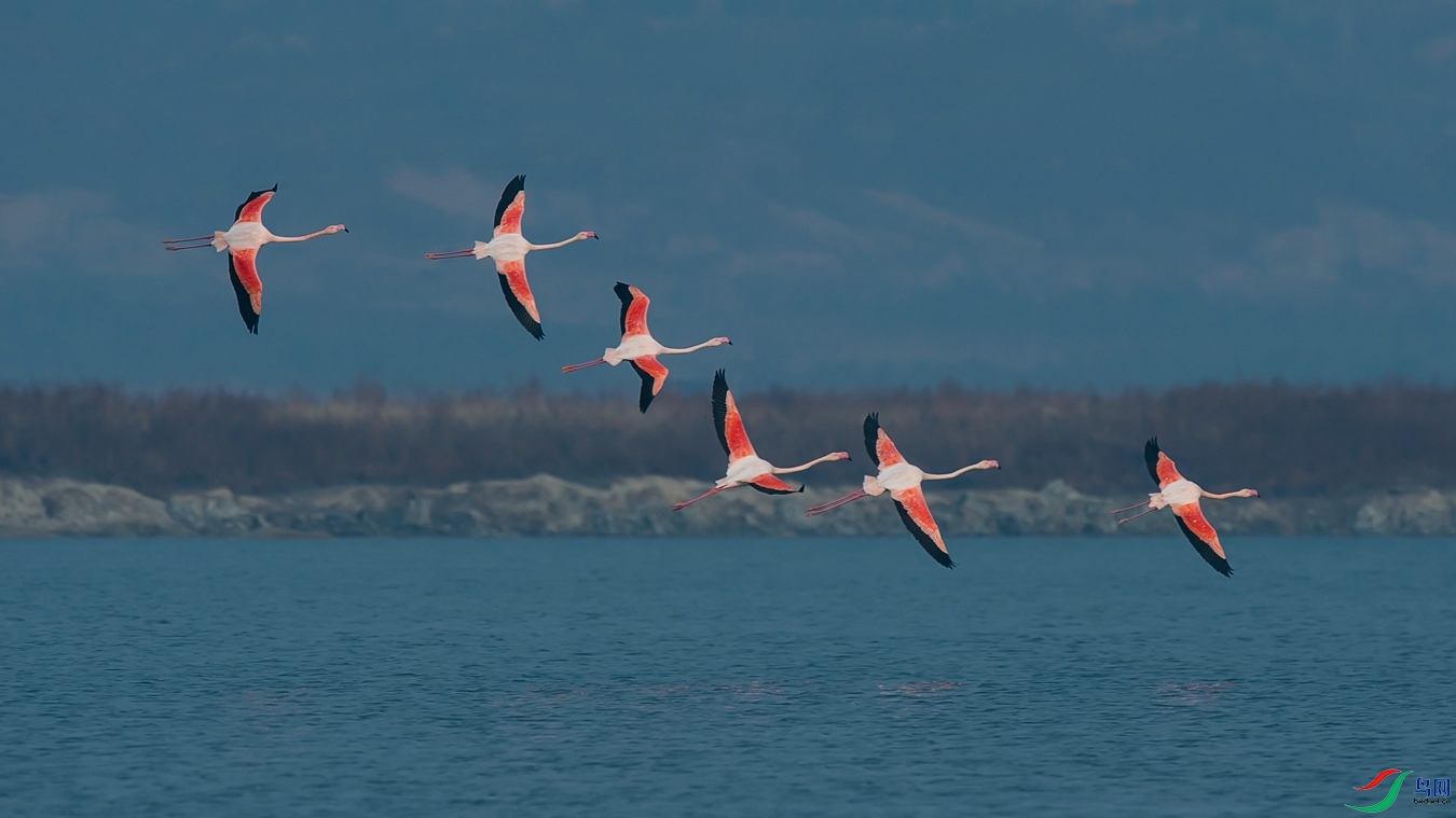 XCG_9804 - ����.jpg