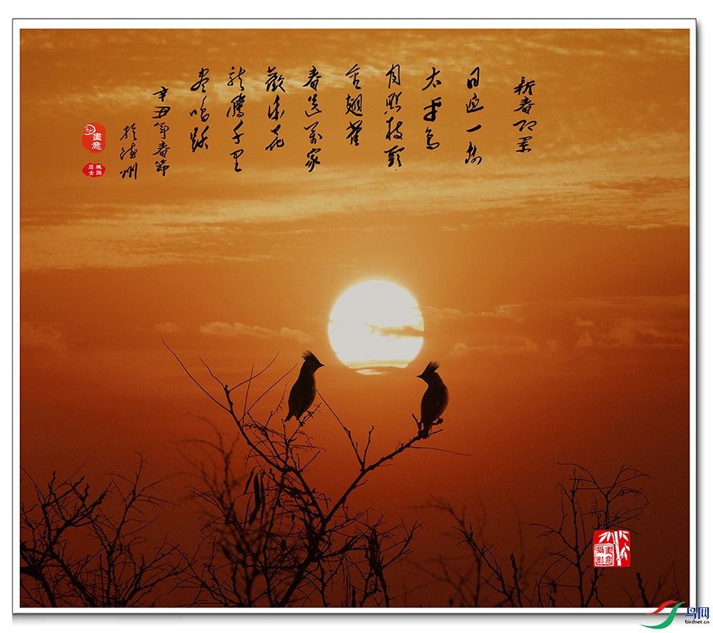 AV1I7962 �ճ� �´�����.jpg