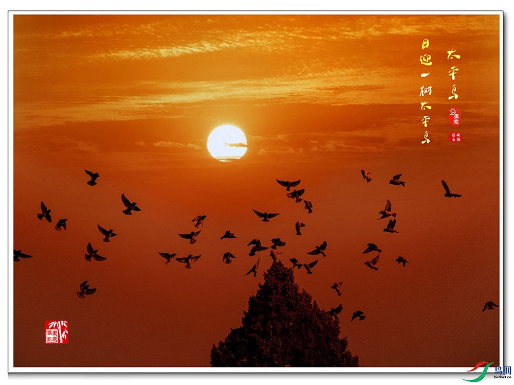 AV1I7982-Pano ��Ƭ �ճ� ����.jpg