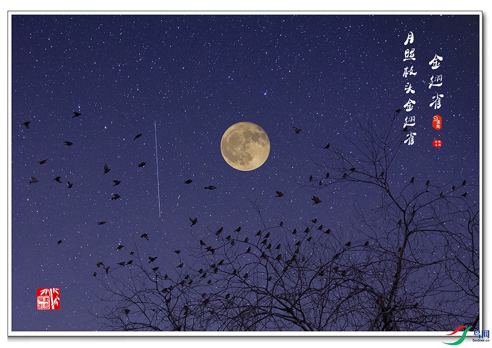 AV1I7902 ��ҹ ����.jpg