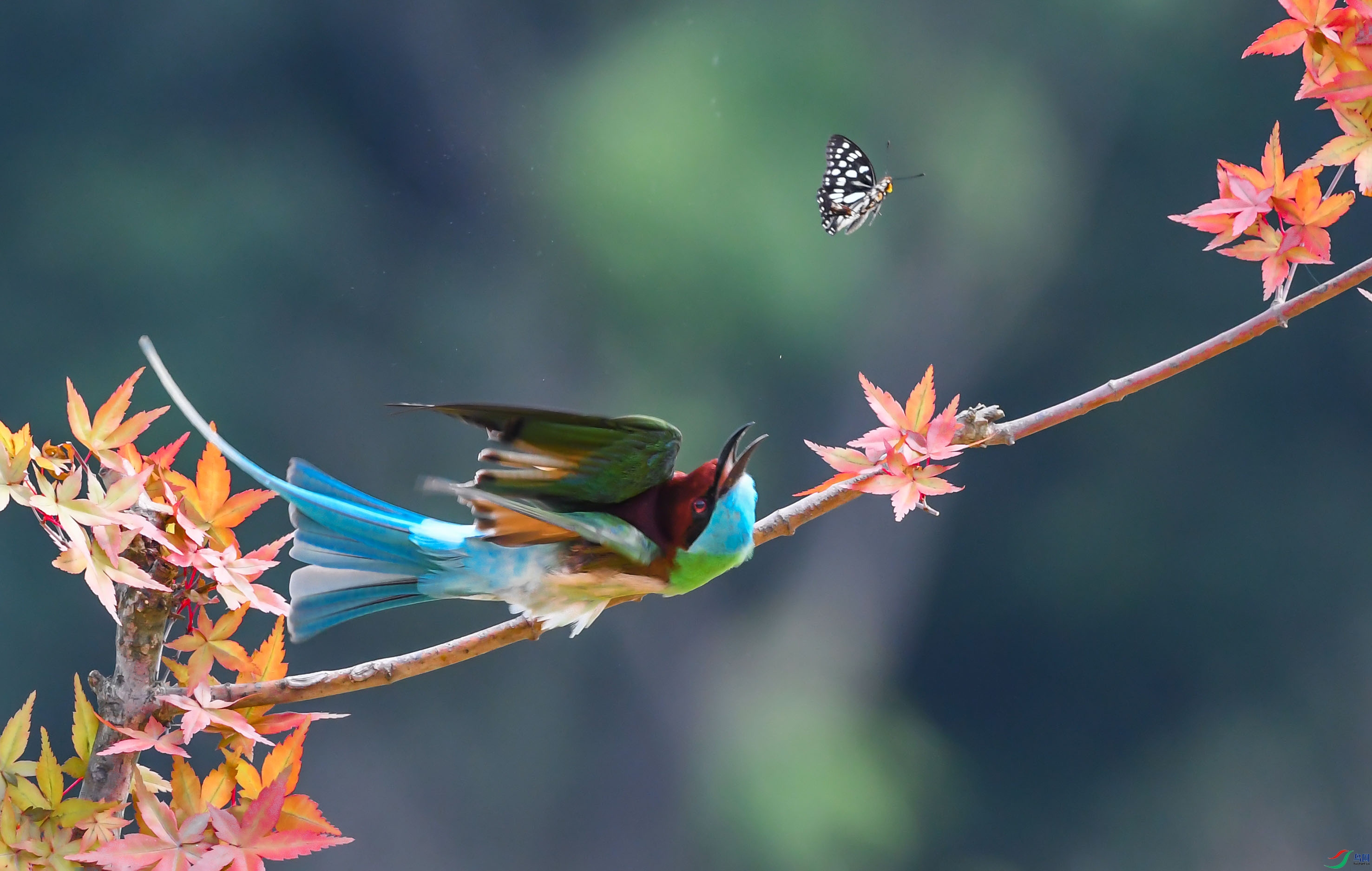 DSC_3516add5.jpg