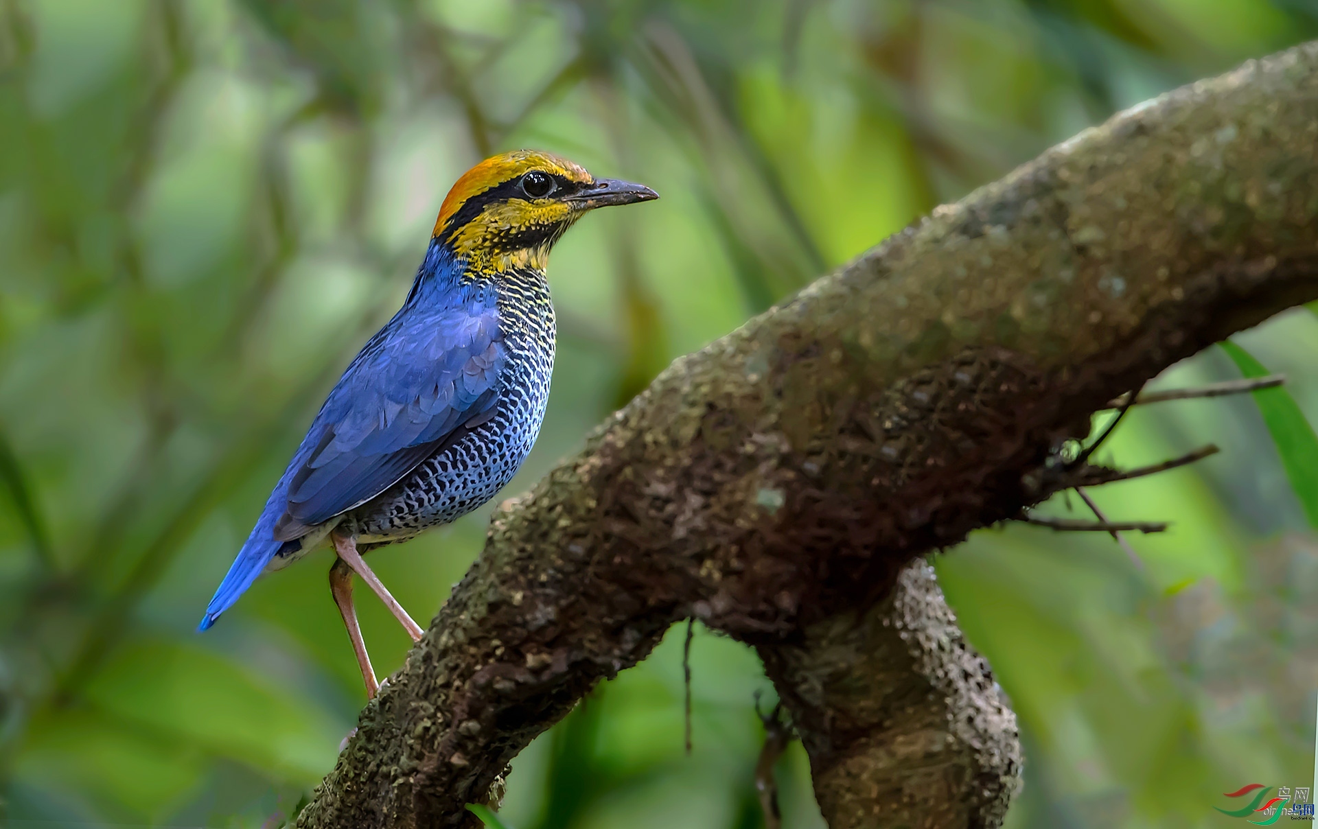 ��ƽ��1 ��ʦ������̩��.jpg