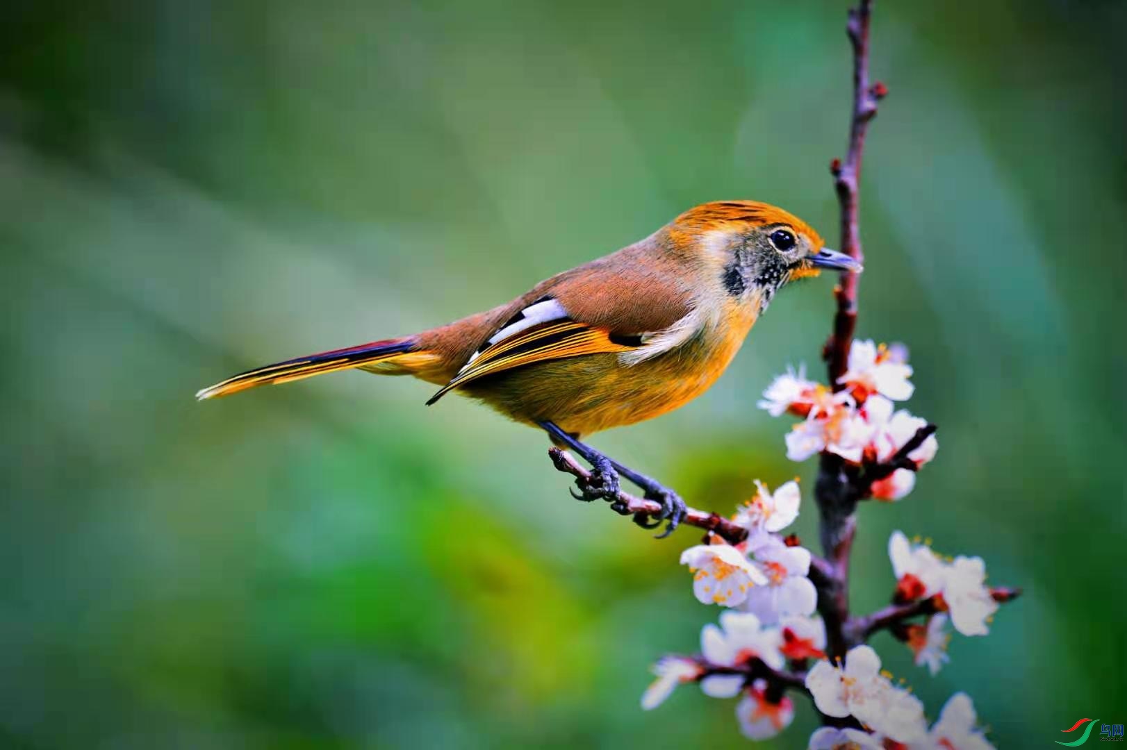 6fb0a60a358443f7cda28552975a020.jpg