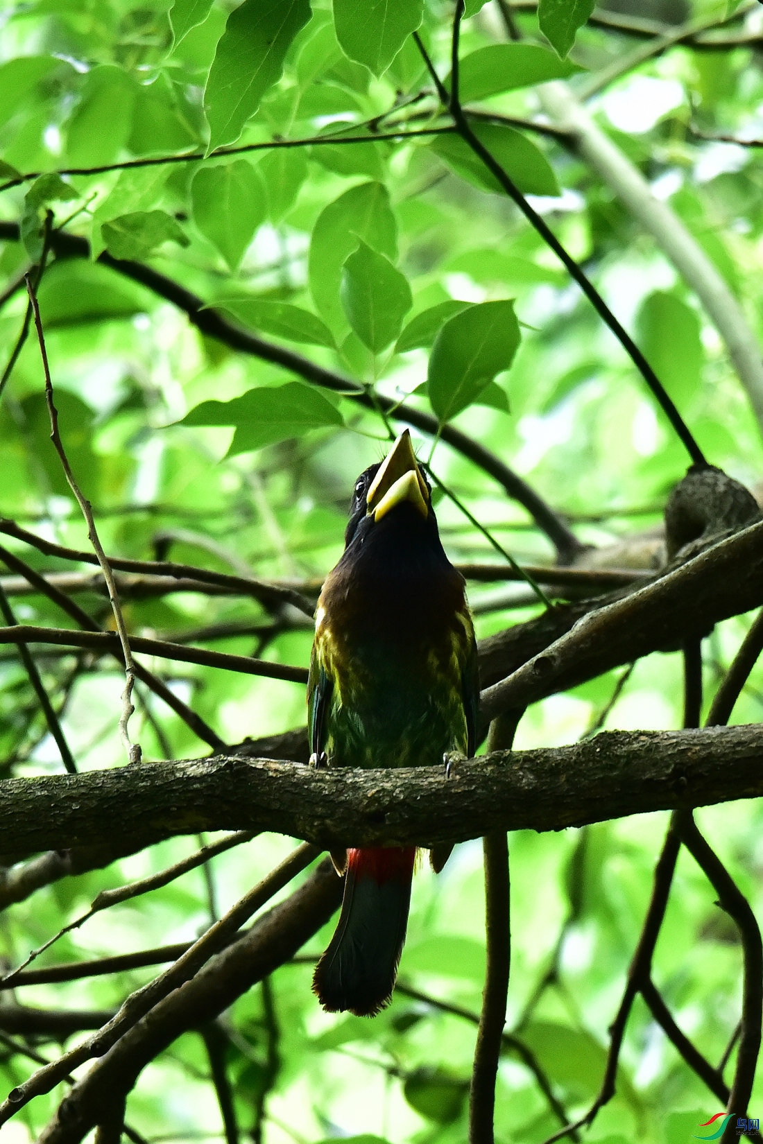 DSC_0813.JPG