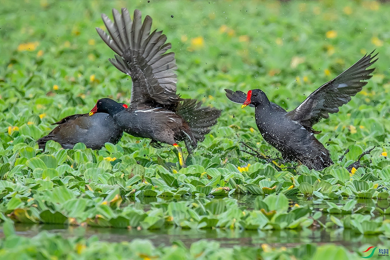 DSC_5207_1.jpg1.jpg