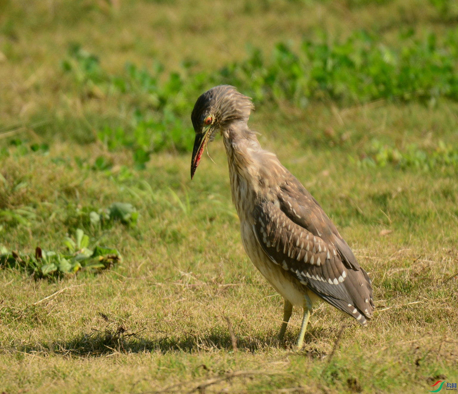 DSC_5479.jpg