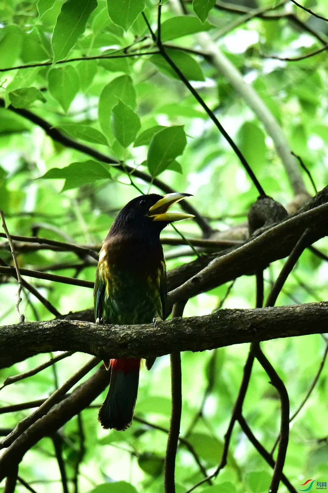 DSC_0816.JPG