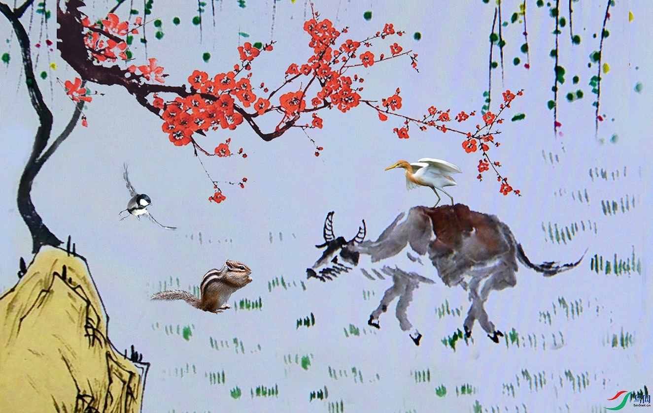 5.ţ�꼪�顪����2533AM.jpg