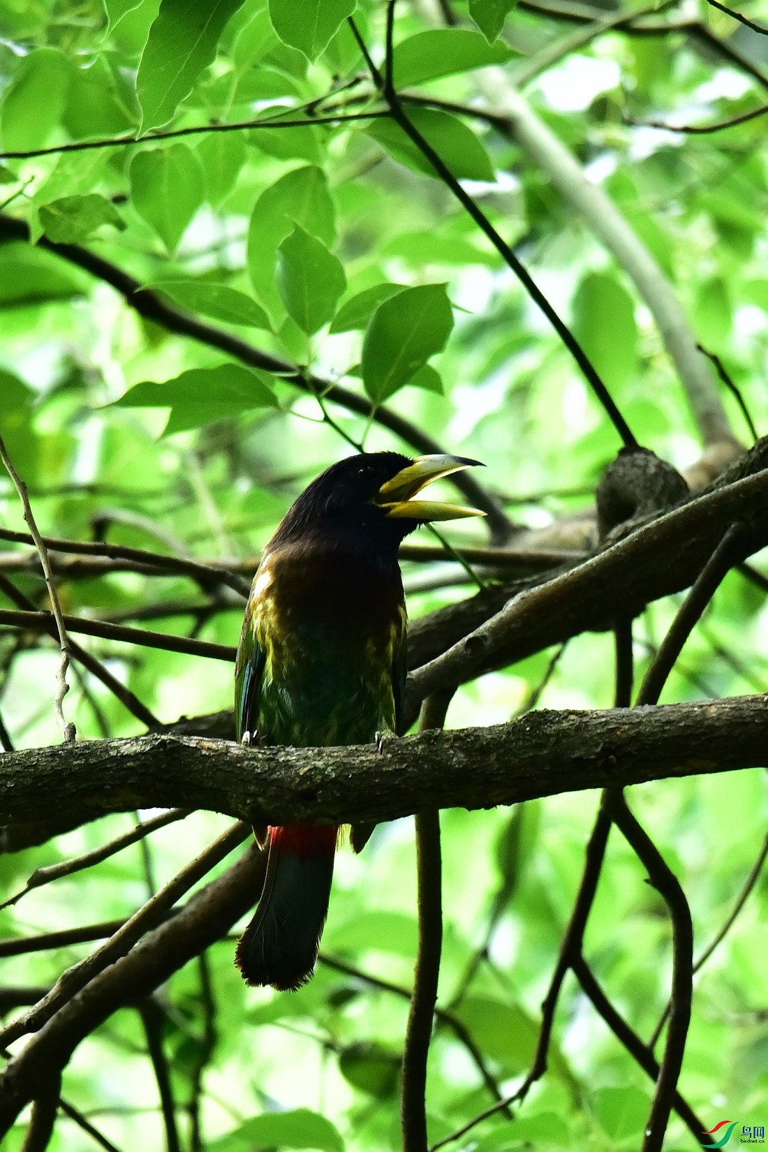 DSC_0817.JPG
