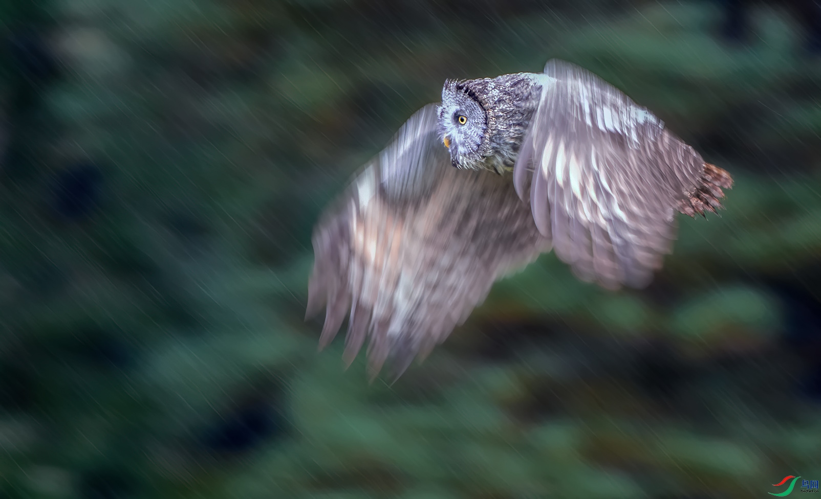 DSC_6185.jpg