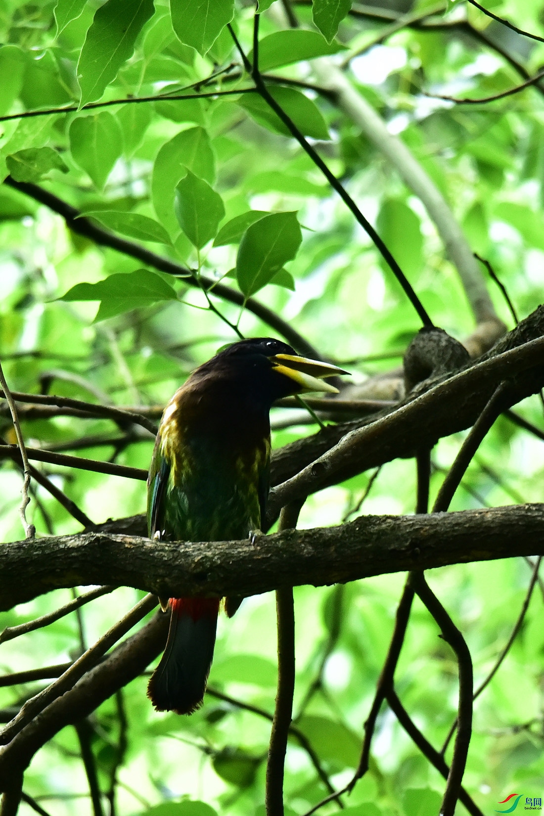 DSC_0820.JPG
