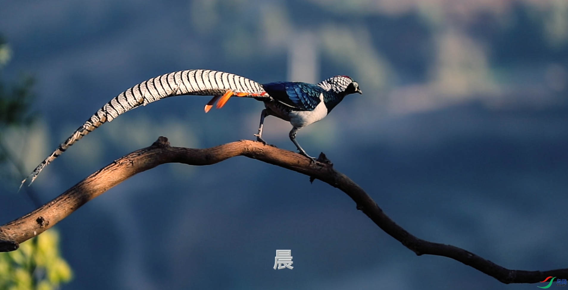 ����2021-02-14 ����2.35.21.jpg