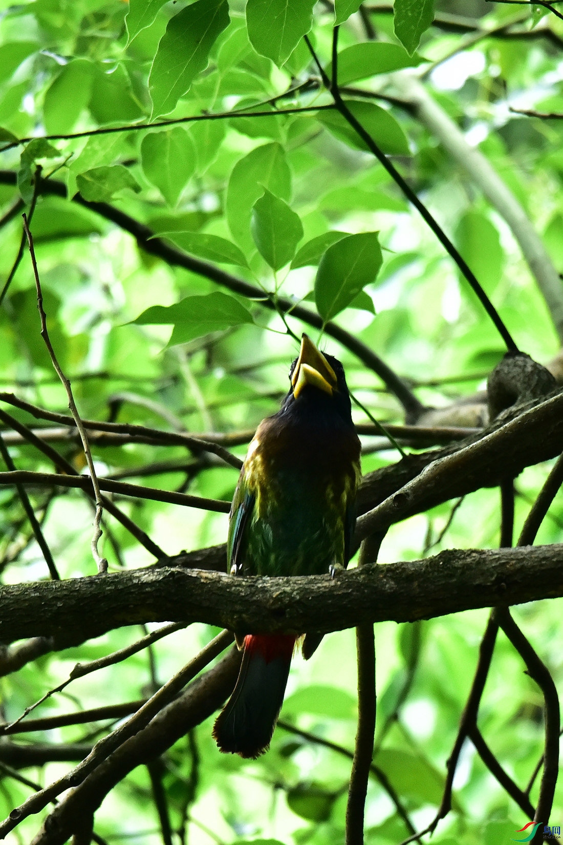 DSC_0824.JPG