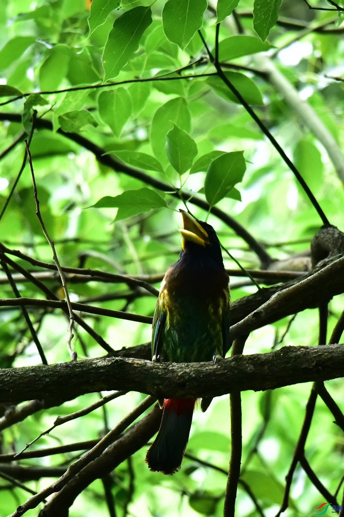DSC_0826.JPG
