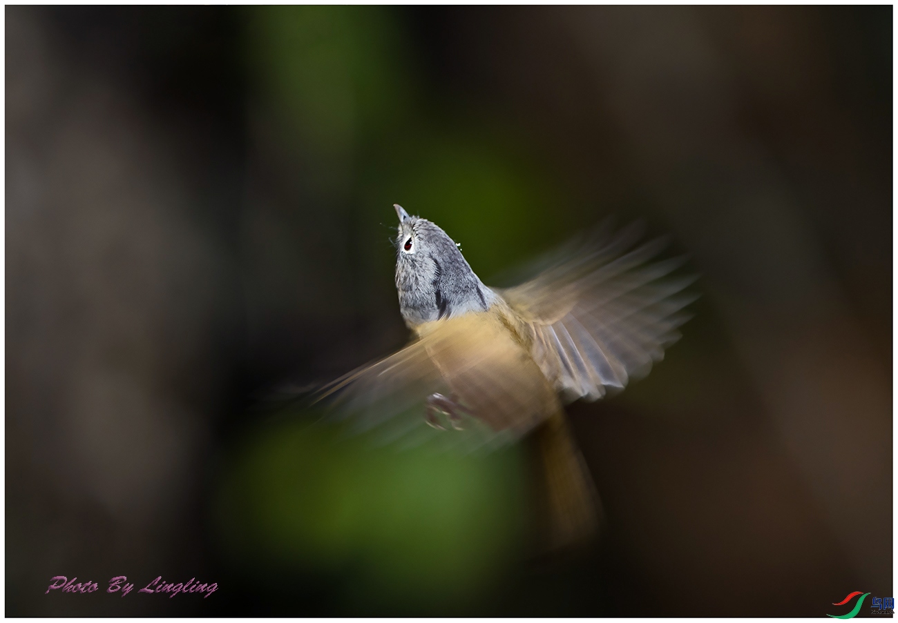 DSC_8347.jpg