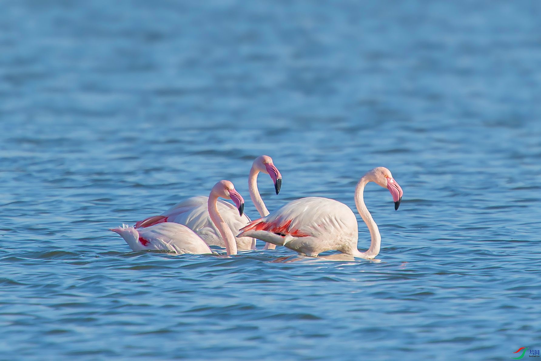 DSC_0442.jpg