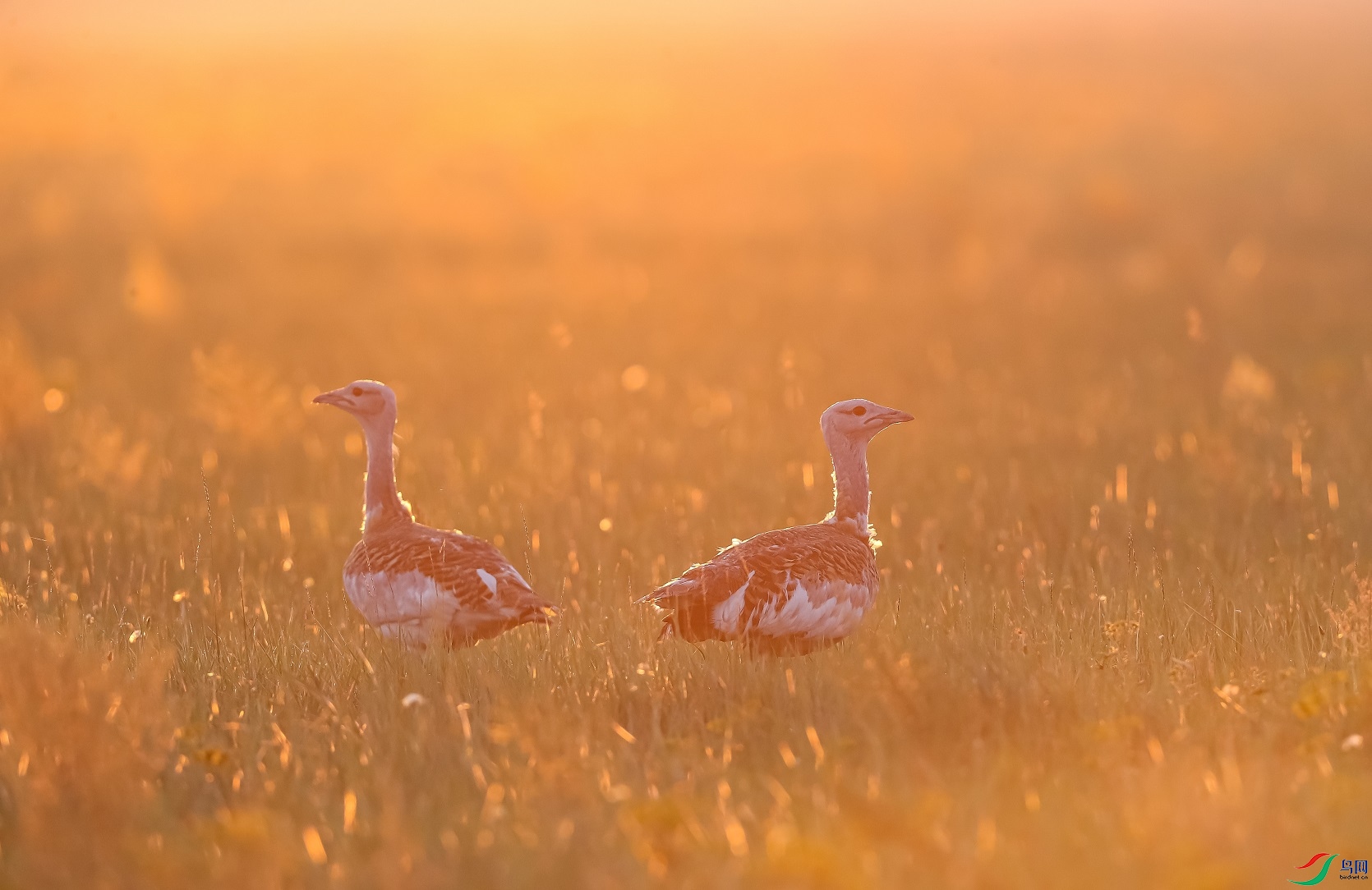 �����е�����